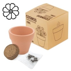 MACETA TERRACOTA COSMOS"FLORAL"