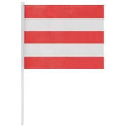 BANDERÍN "MIRT"