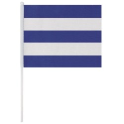 BANDERÍN "MIRT"