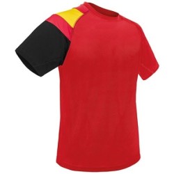 CAMISETA BANDERA DRY & FRESH RO M "GALDANA"